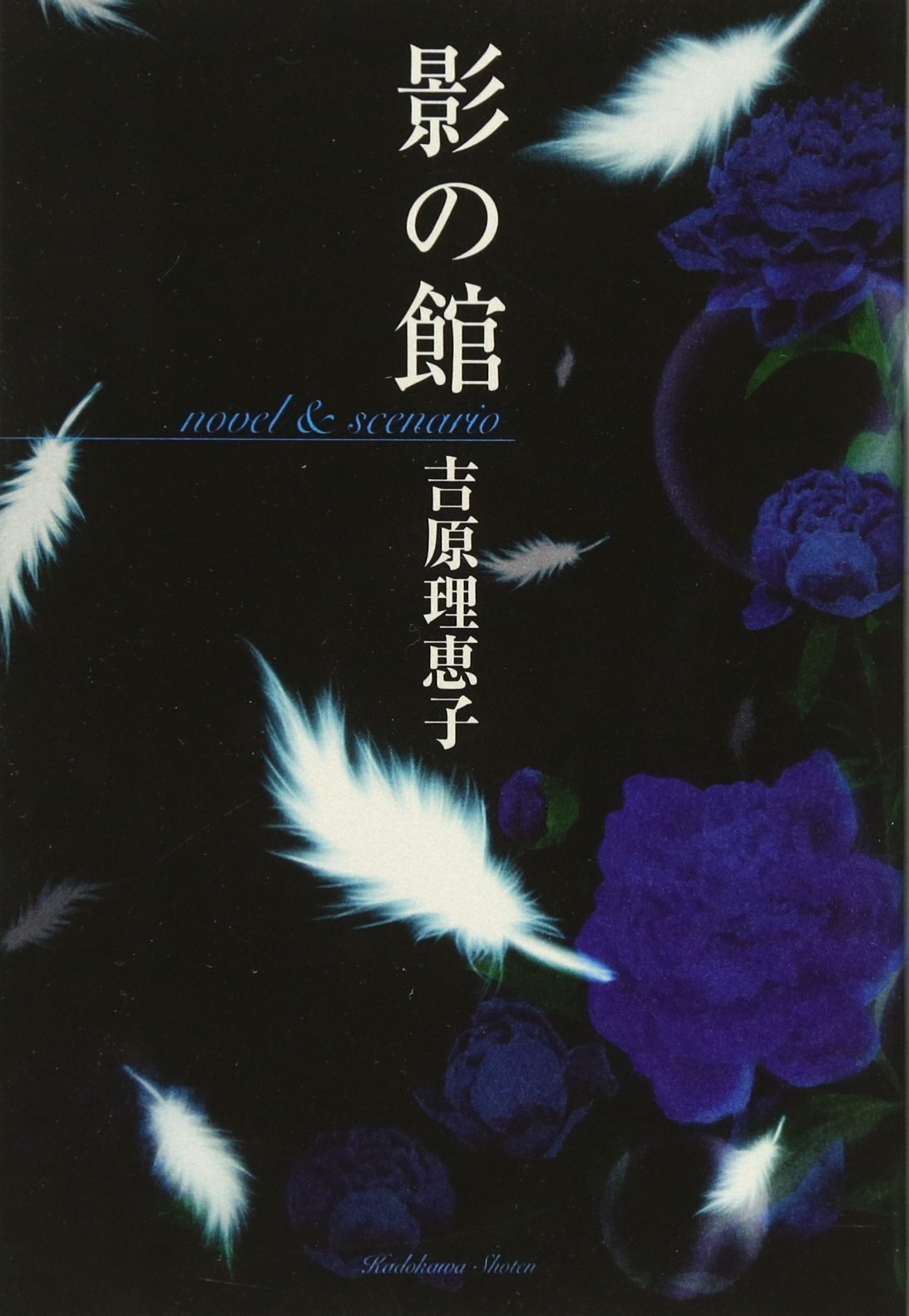 Amazon.co.jp: 影の館 novel&scenario : 吉原 理恵子, あさるんば: 本